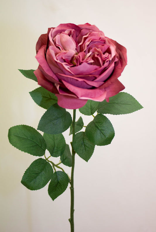 GARDEN ROSE DUSTY ROSE 50CM