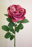 GARDEN ROSE DUSTY ROSE 50CM