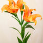 Tiger Lily Orange 90 cm - Realistic Artificial Tiger Lily Stem with Vibrant Orange Blooms - Perfect for Floral Arrangements, Bouquets, Wreaths, and Home Décor - Long-Lasting and Low Maintenance