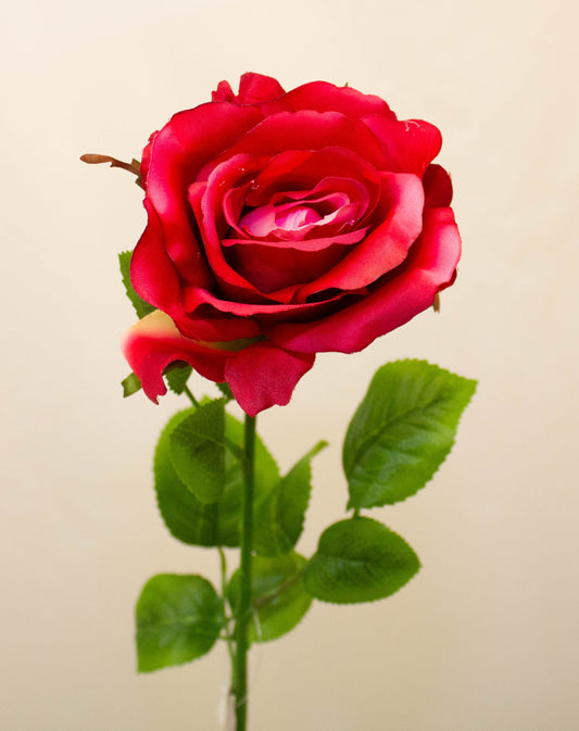 ELEGANCE ROSE STEM BEAUTY 68CM