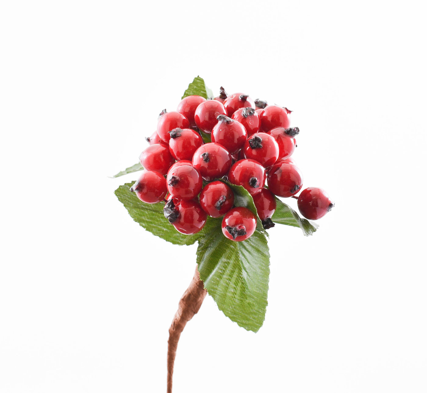 RED BERRY HIP BUNCH