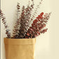 Dried eucalyptus bouquet (red) – vibrant and long-lasting decorative foliage, perfect for floral arrangements, home décor, and event styling, adds a bold and elegant touch to vases, bouquets, and centerpieces.