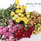 Rose bouquet – beautiful and fresh floral arrangement, perfect for weddings, anniversaries, birthdays, and special occasions, available in various colors and styles, elegantly wrapped for gifting or home décor.