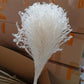 Colorful reed (white) – soft and elegant dried pampas grass, perfect for home décor, floral arrangements, and event decorations, adds a natural and bohemian touch to vases, bouquets, and centerpieces.