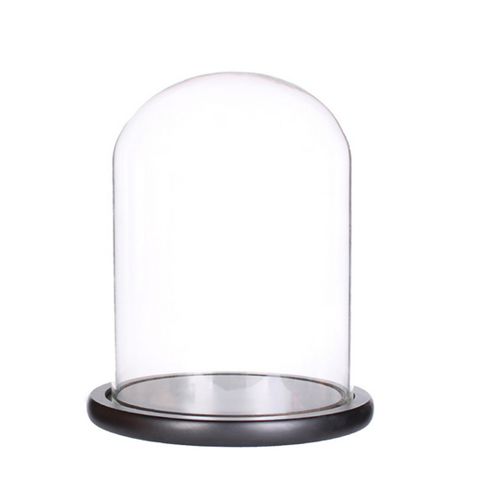 Decorative Jar Container Glass Dome Cloche For Candles