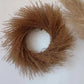 Colorful reed (brown) – soft and elegant dried pampas grass, perfect for home décor, floral arrangements, and event decorations, adds a natural and rustic touch to vases, bouquets, and centerpieces.