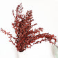 Dried eucalyptus stem (red) – vibrant and long-lasting decorative foliage, perfect for floral arrangements, home décor, and event styling, adds a bold and elegant touch to vases, bouquets, and centerpieces.