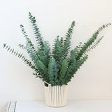 Dry Eucalyptus Bouquet green